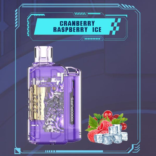 IGET FLARE B10000 DISPOSABLE VAPE 10000 PUFFS - CRANBERRY RASPBERRY ICE - VapeBro